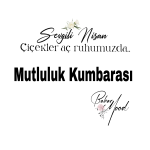Picsart_22-04-01_16-29-48-380.png