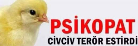 psikocikcik.png