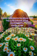 1674752723457.png