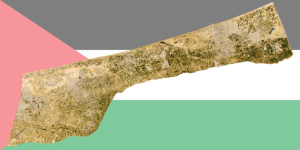 1704548646812.png