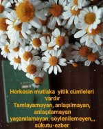 SC_Time_1706648911477.jpg