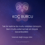 GÜNLÜK BURÇ YORUMLARI-KOÇ.png