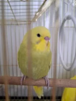 1000051893.webp