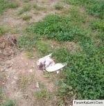 IMG_20250418_144334.webp IMG_20250418_144334.webp