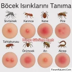 FB_IMG_1748027446771.webp