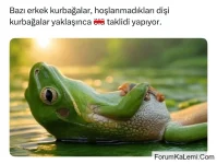 1000059577.webp