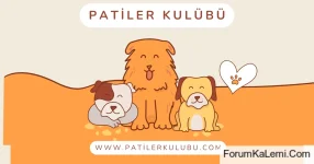 patibu.webp