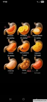 FB_IMG_1759093926921.webp