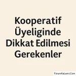 20251106_202816.webp 20251106_202816.webp