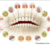 FB_IMG_1763197963277.webp FB_IMG_1763197963277.webp