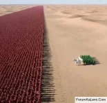 FB_IMG_1765184509162.webp FB_IMG_1765184509162.webp