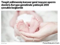 FB_IMG_1765377950202.webp FB_IMG_1765377950202.webp