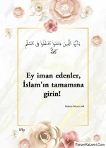 FB_IMG_1769608639000.webp FB_IMG_1769608639000.webp