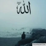 1771530485041.webp 1771530485041.webp