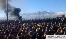 1771968769116.webp 1771968769116.webp