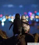 1771968934584.webp 1771968934584.webp