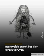 1772479516110.webp 1772479516110.webp