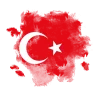 enesvtn