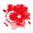 enesvtn