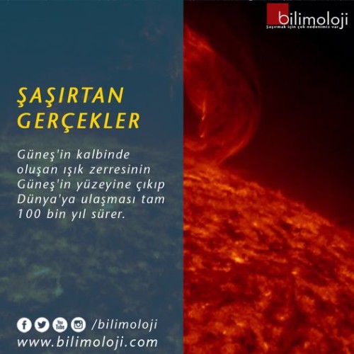 205377bb1ef02fd8b.md.jpg